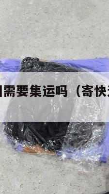 寄快递去美国需要集运吗(寄快递去美国最快多久)