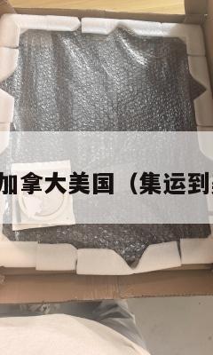 集运加拿大美国（集运到美国）