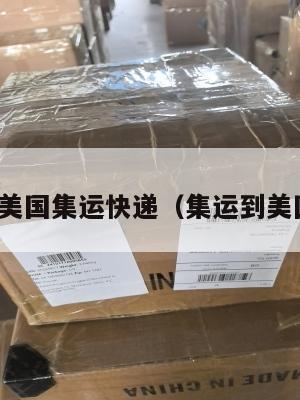 从美国集运快递(集运到美国)