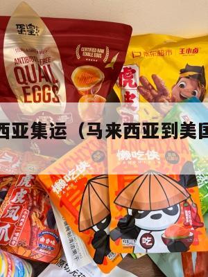 美国马来西亚集运(马来西亚到美国海运多少天)