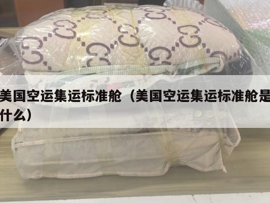美国空运集运标准舱(美国空运集运标准舱是什么)