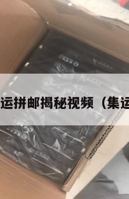 美国集运拼邮揭秘视频(集运 美国)