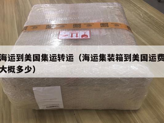 海运到美国集运转运(海运集装箱到美国运费大概多少)