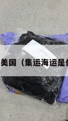 集运海运美国(集运海运是什么意思)