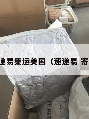 寄递易集运美国(速递易 寄存)