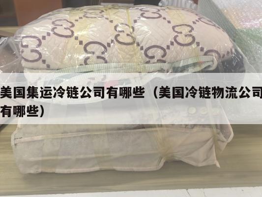 美国集运冷链公司有哪些(美国冷链物流公司有哪些)