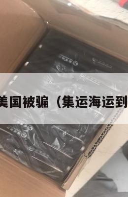 集运美国被骗(集运海运到美国)