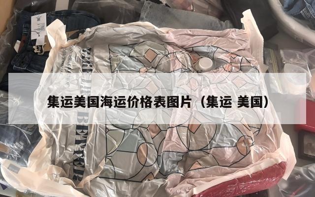 集运美国海运价格表图片(集运 美国)