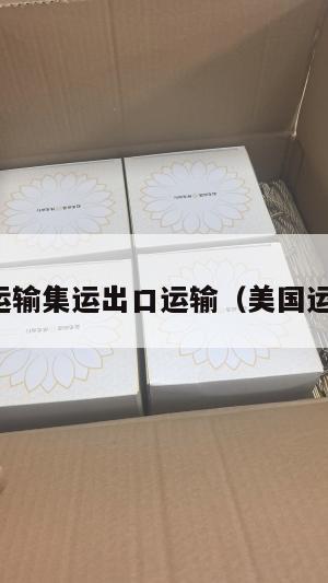 美国运输集运出口运输（美国运输业）