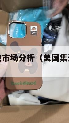 美国集运小包市场分析(美国集运小包市场分析报告)