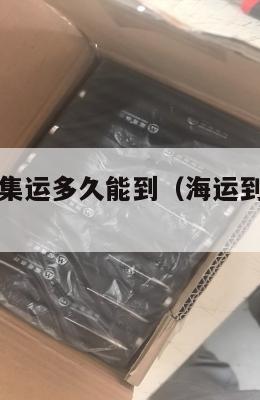 海运到美国集运多久能到(海运到美国走哪里)