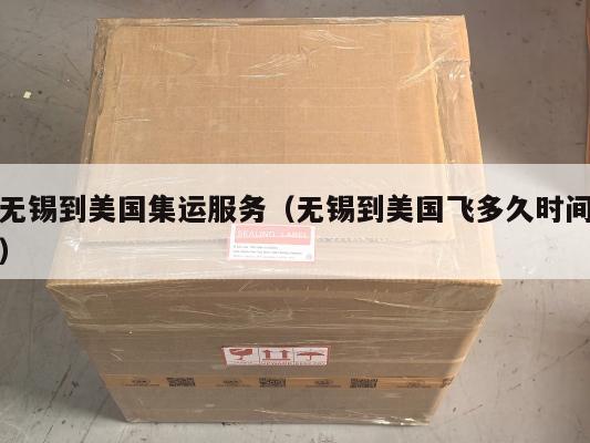无锡到美国集运服务（无锡到美国飞多久时间）
