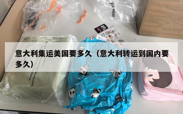 意大利集运美国要多久(意大利转运到国内要多久)