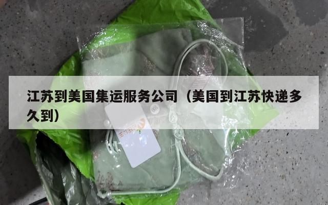 江苏到美国集运服务公司(美国到江苏快递多久到)