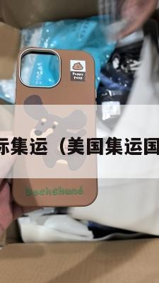 美国集运国际集运(美国集运国际集运区别)