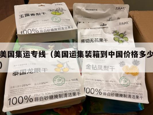 美国集运专线（美国运集装箱到中国价格多少）
