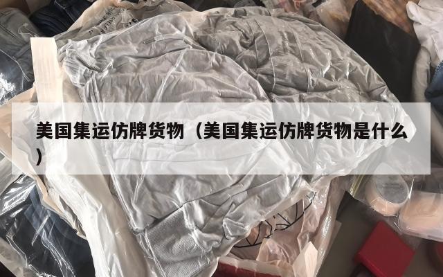 美国集运仿牌货物（美国集运仿牌货物是什么）