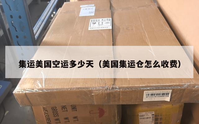 集运美国空运多少天(美国集运仓怎么收费)