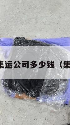 寄美国的集运公司多少钱(集运到美国)