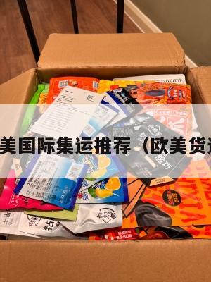 欧美国际集运推荐(欧美货运)