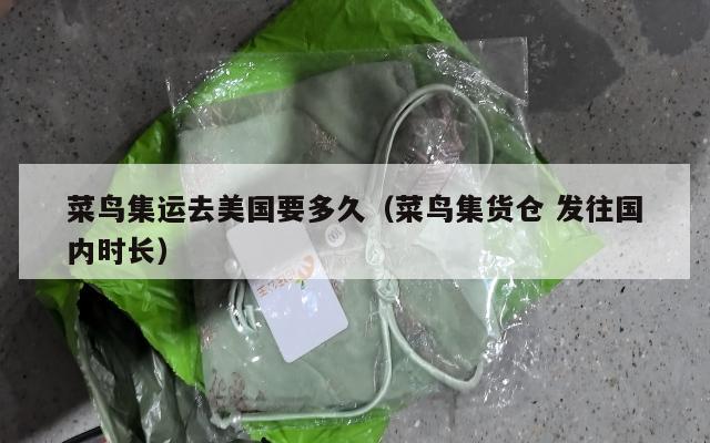 菜鸟集运去美国要多久(菜鸟集货仓 发往国内时长)