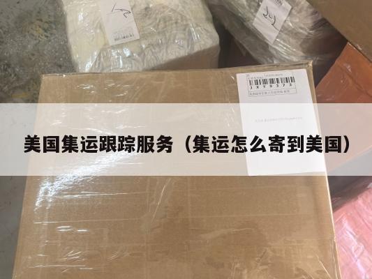 美国集运跟踪服务(集运怎么寄到美国)