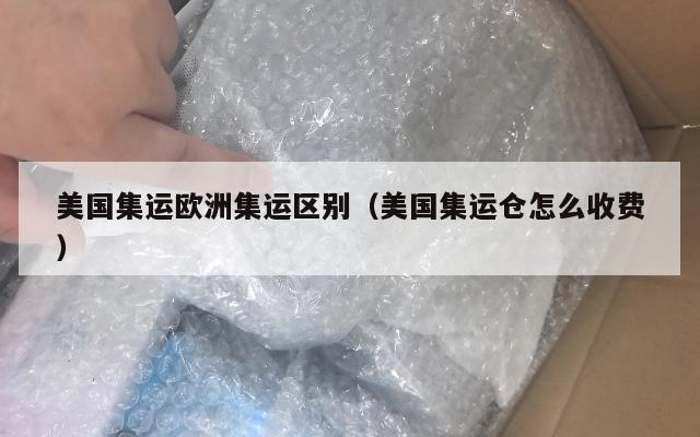 美国集运欧洲集运区别(美国集运仓怎么收费)