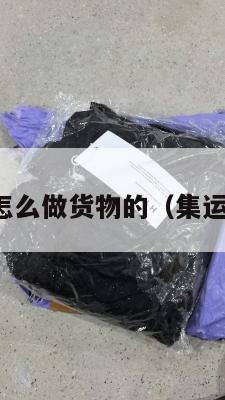 集运美国怎么做货物的(集运如何操作)