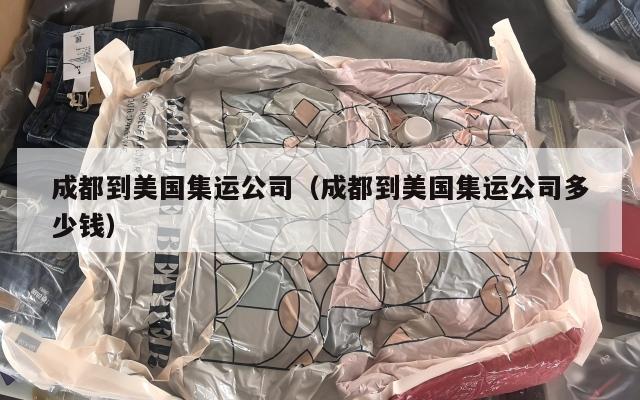 成都到美国集运公司(成都到美国集运公司多少钱)