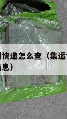 集运食品美国快递怎么查(集运食品美国快递怎么查物流信息)