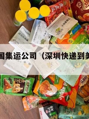 深圳寄美国集运公司(深圳快递到美国最快的国际快递)