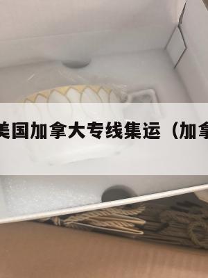 澳洲欧洲美国加拿大专线集运(加拿大淘宝集运转运)