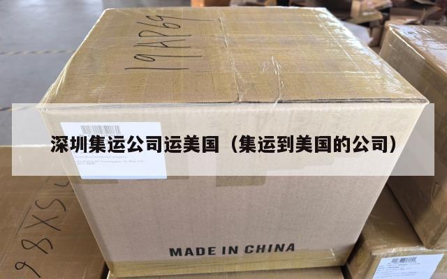 深圳集运公司运美国(集运到美国的公司)
