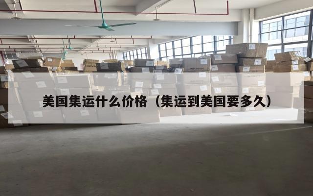 美国集运什么价格(集运到美国要多久)