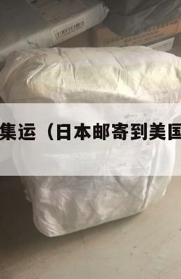 日本到美国集运(日本邮寄到美国的转运公司)