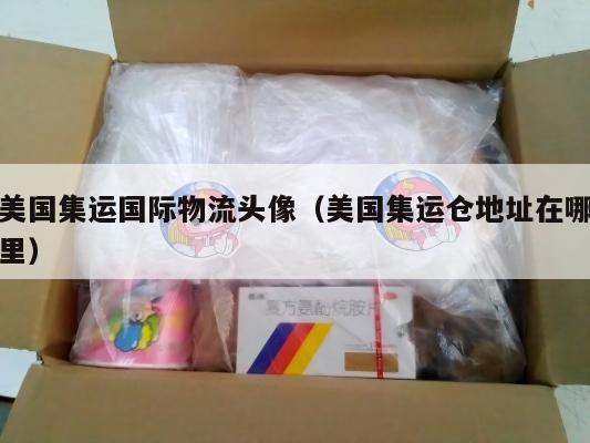美国集运国际物流头像(美国集运仓地址在哪里)
