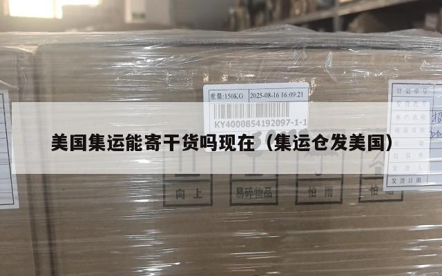 美国集运能寄干货吗现在(集运仓发美国)