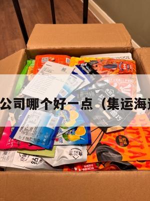 美国集运公司哪个好一点(集运海运到美国)