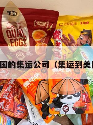 上海邮美国的集运公司(集运到美国的公司)