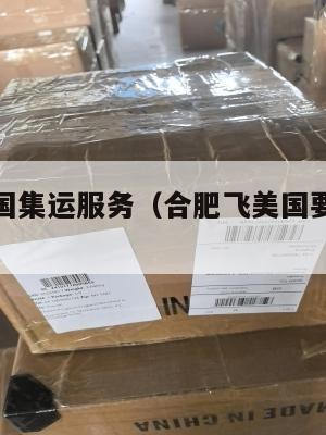 合肥到美国集运服务(合肥飞美国要几个小时)