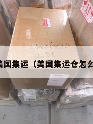 海运美国集运(美国集运仓怎么收费)
