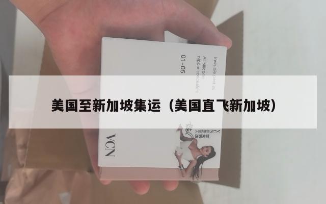 美国至新加坡集运(美国直飞新加坡)