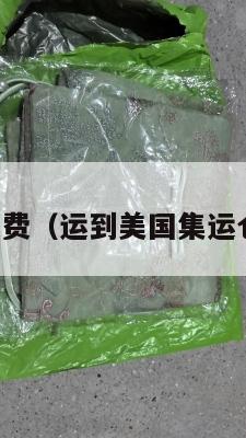 美国集运运费（运到美国集运仓怎么联系）