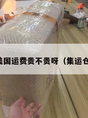 集运到美国运费贵不贵呀(集运仓发美国)
