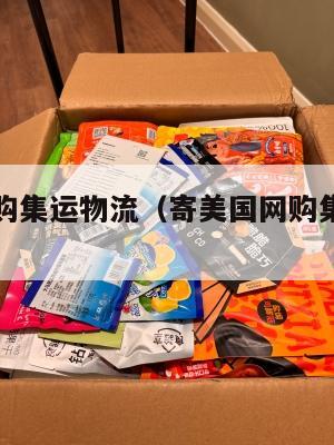 寄美国网购集运物流(寄美国网购集运物流要多久)