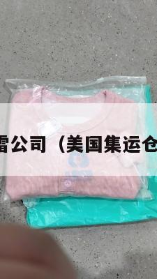 美国集运踩雷公司(美国集运仓地址在哪里)