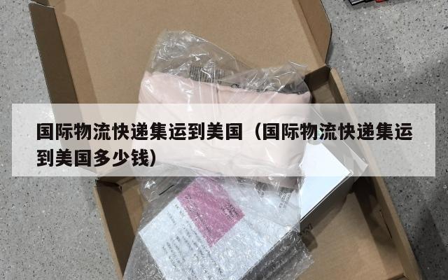 国际物流快递集运到美国(国际物流快递集运到美国多少钱)