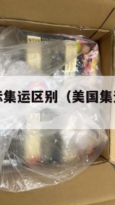 美国集运国际集运区别(美国集运仓地址在哪里)
