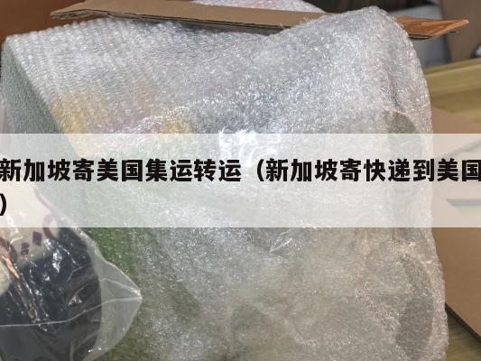 新加坡寄美国集运转运（新加坡寄快递到美国）