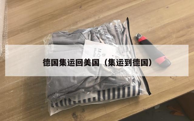 德国集运回美国（集运到德国）